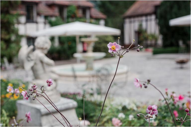 photographe domaine de la butte ronde yvelines
