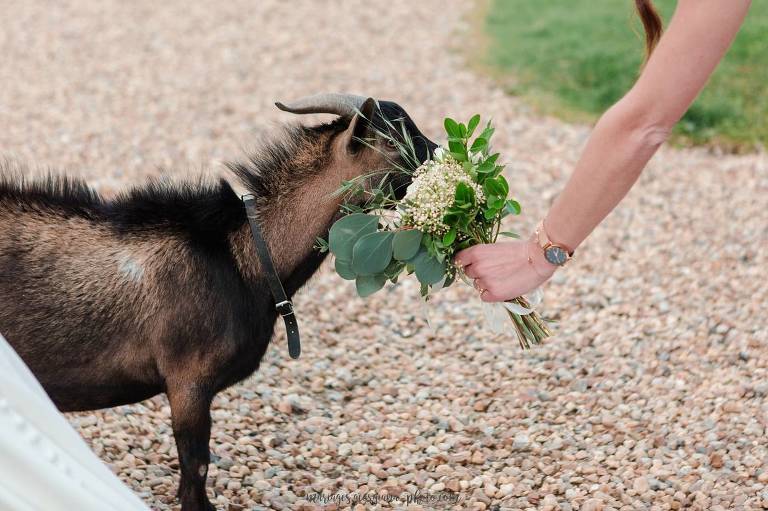 Mariage au Château Barthelemy Paray