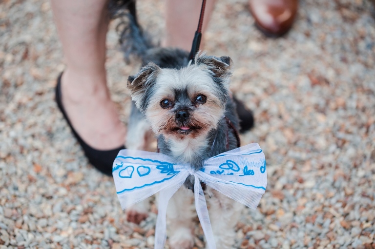Mariage Chateau de Baronville Photographe Yvelines